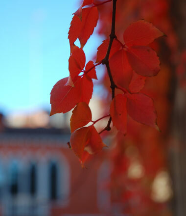 Sidevenice4